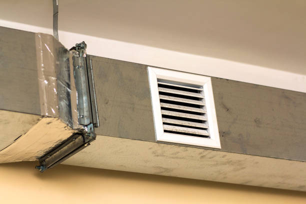 Best Professional Duct Cleaning Services  in Santee, CA